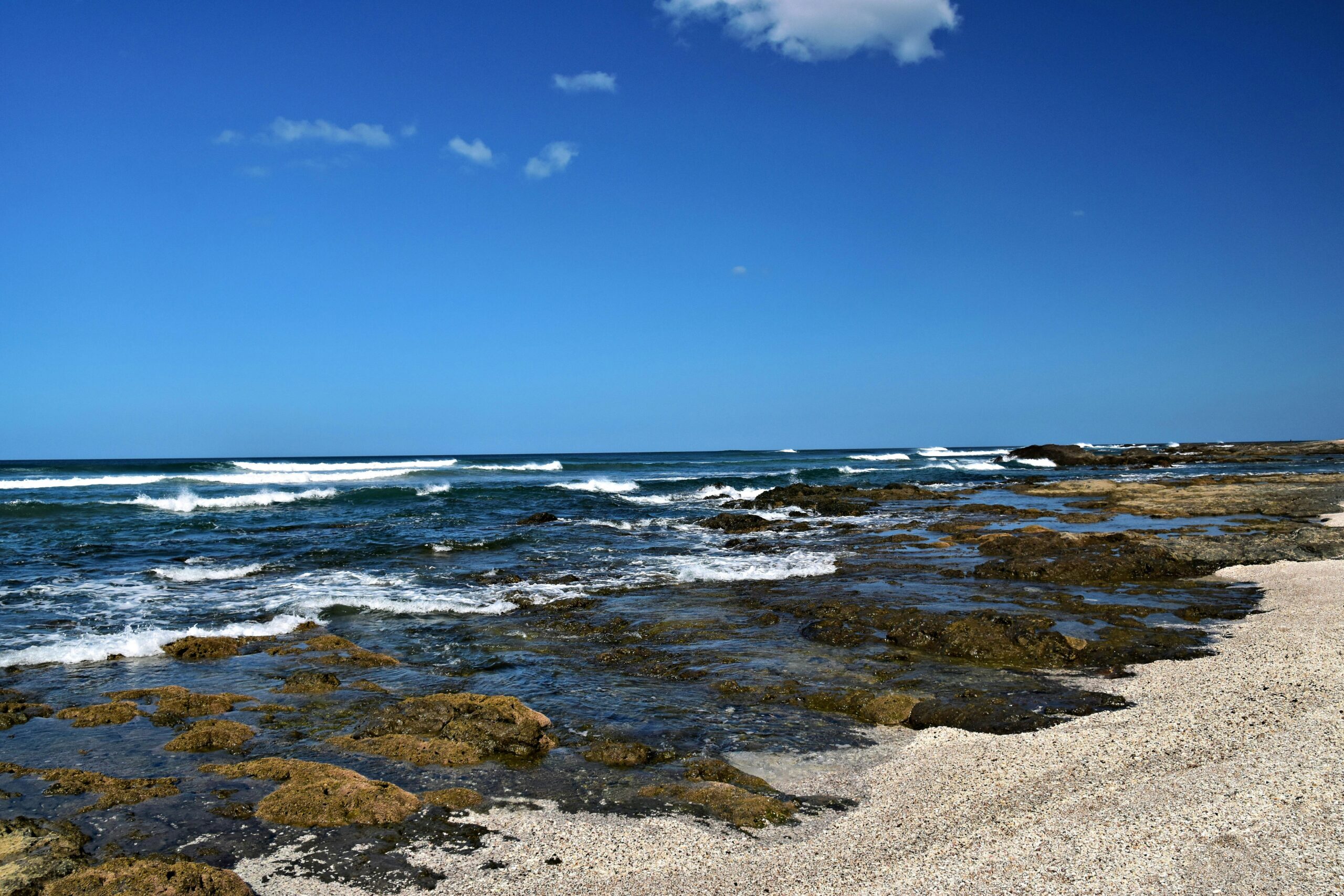 tamarindo surf lessons price