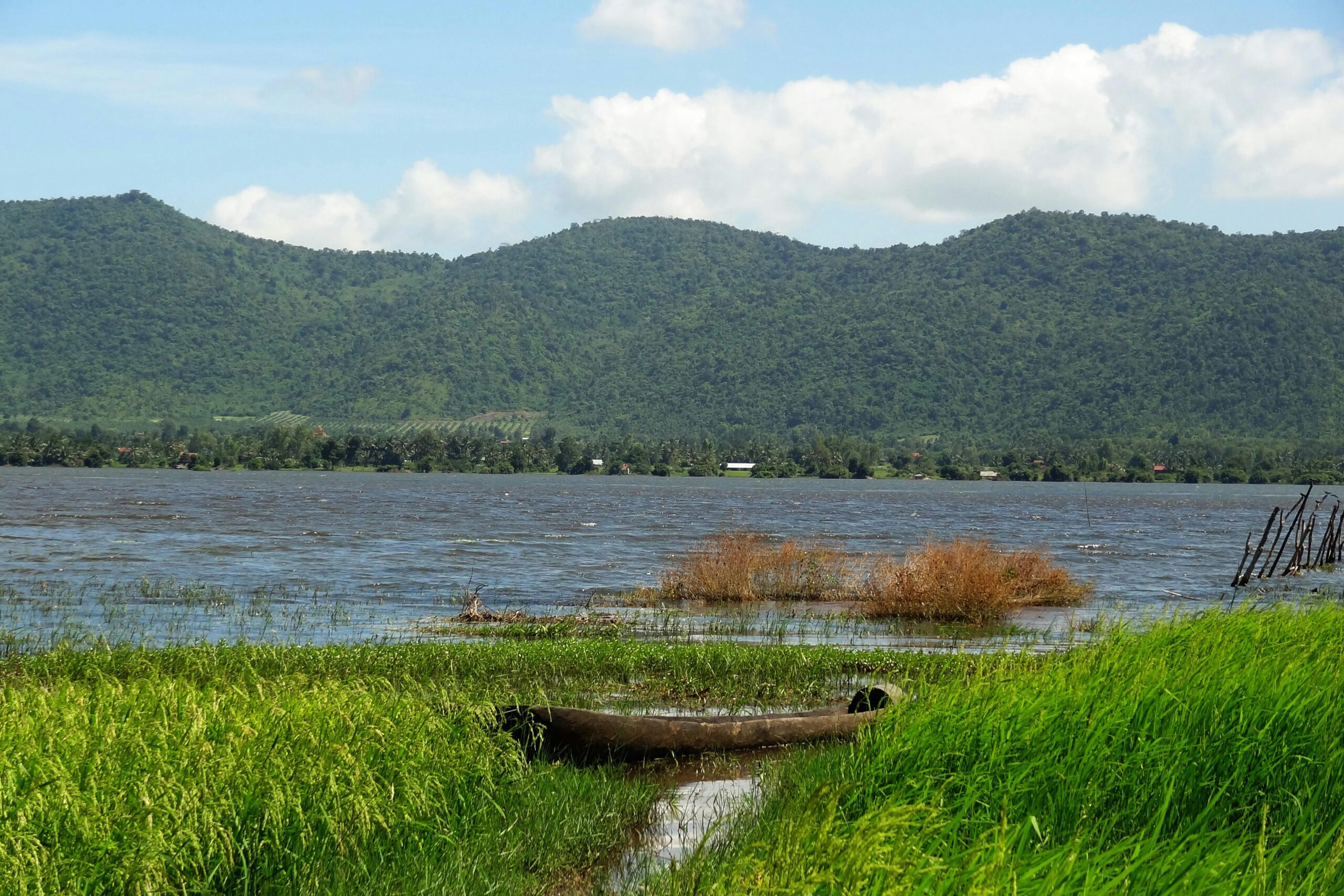 kampot pepper farm tour price
