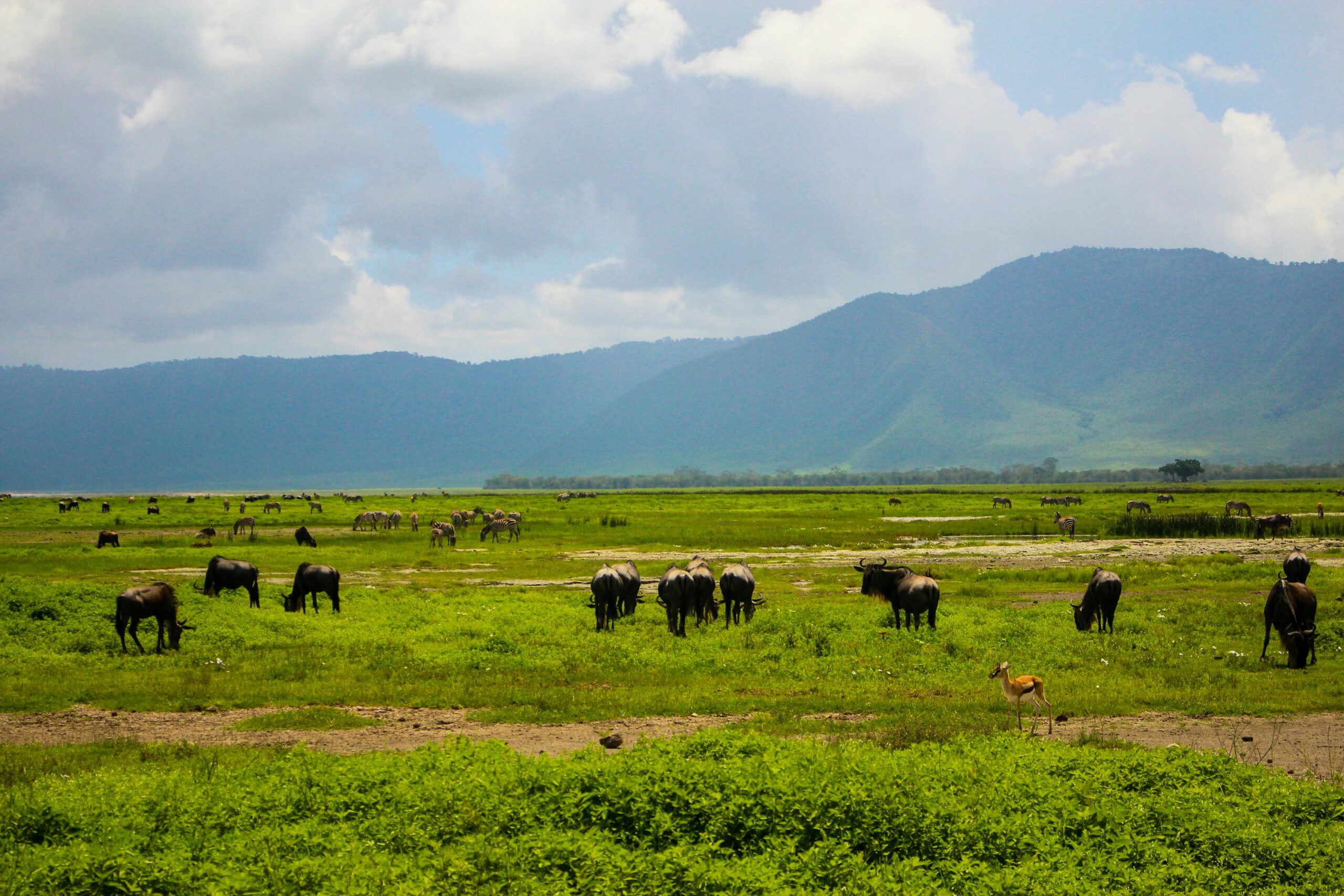 ngorongoro crater safari price