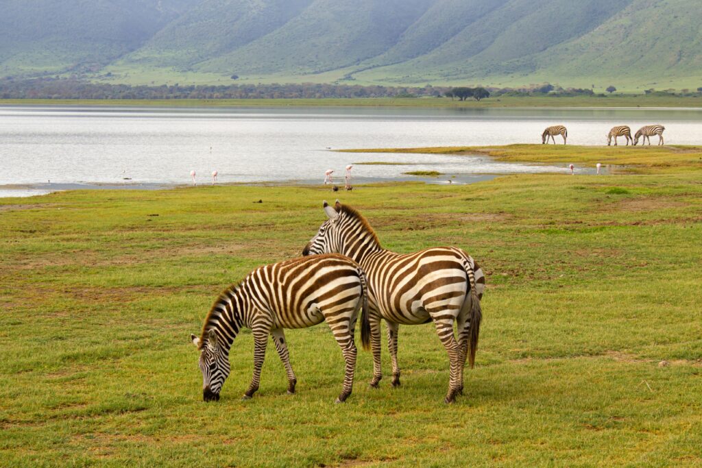 ngorongoro crater safari price