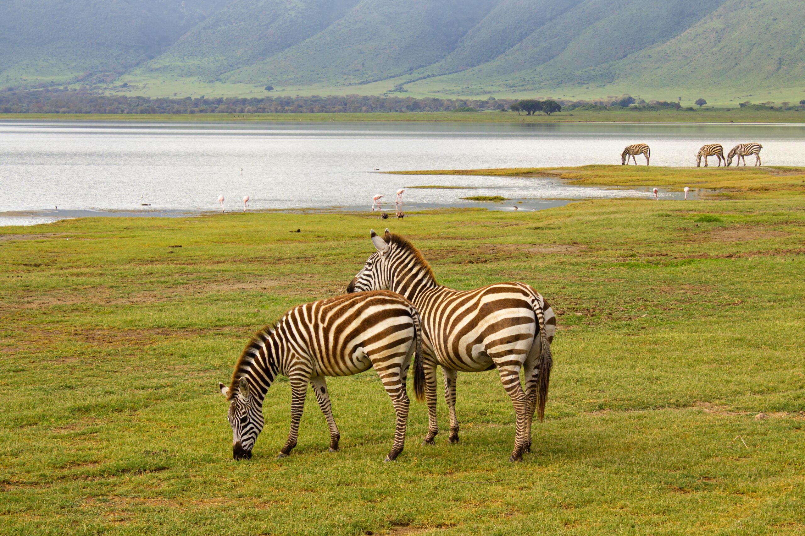 ngorongoro crater safari price
