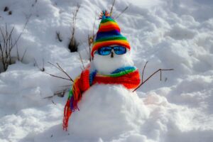 best hotels in manali