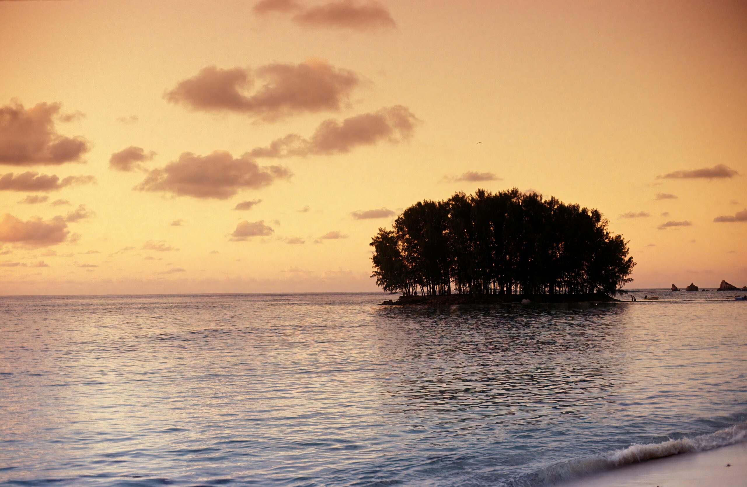 anse source d argent tour price