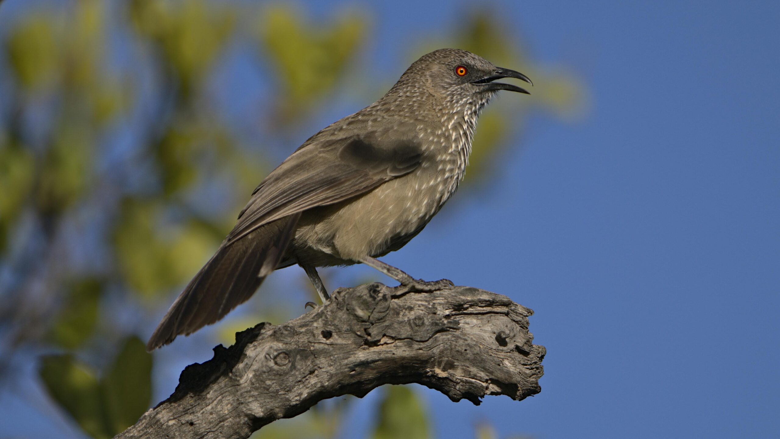 best hotels in windhoek