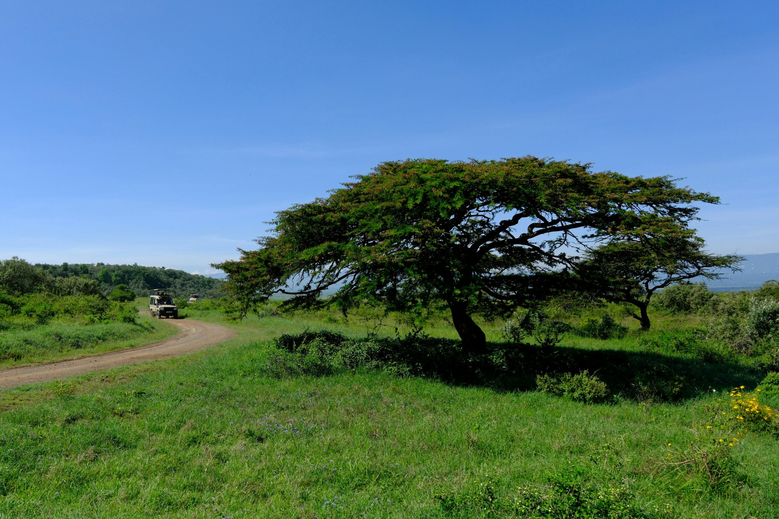 best time to visit kenya