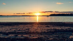 ile aux cerfs tour price
