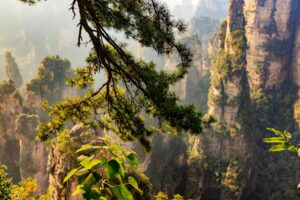 zhangjiajie glass bridge tickets