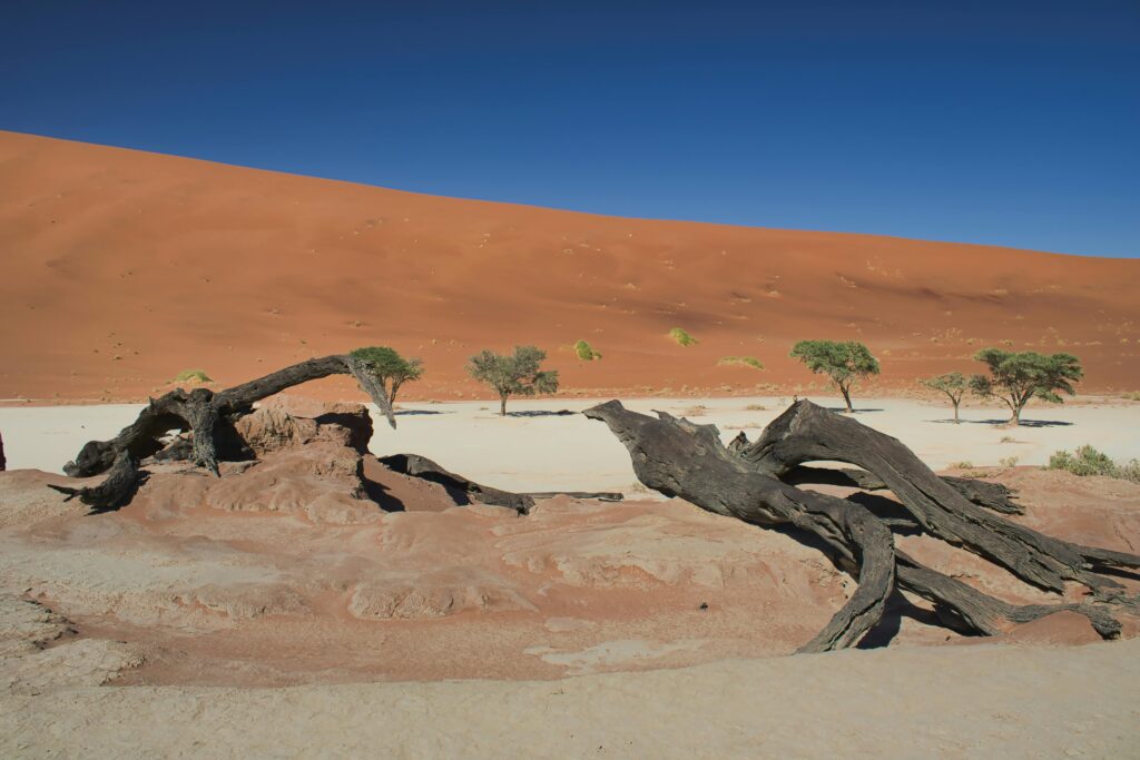 sossusvlei dune tour price