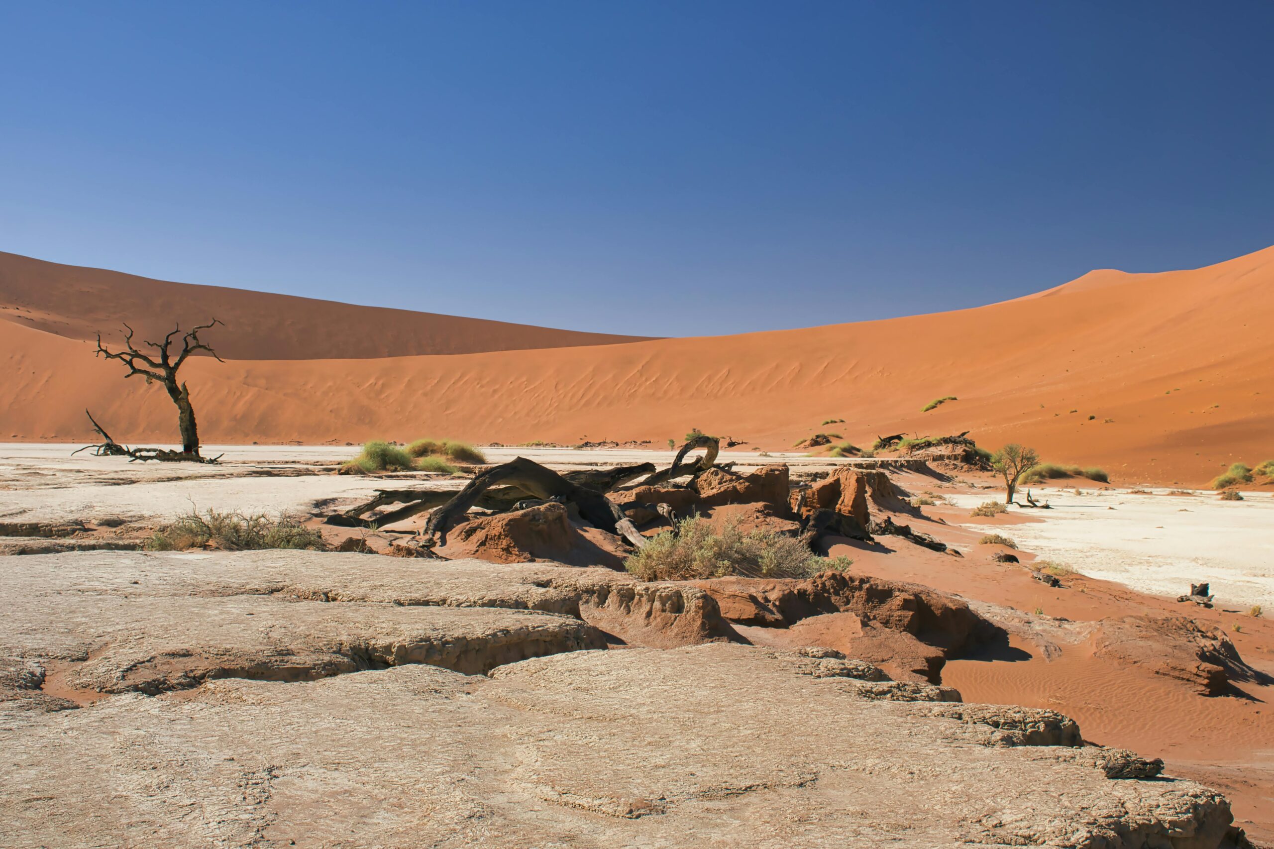 sossusvlei dune tour price