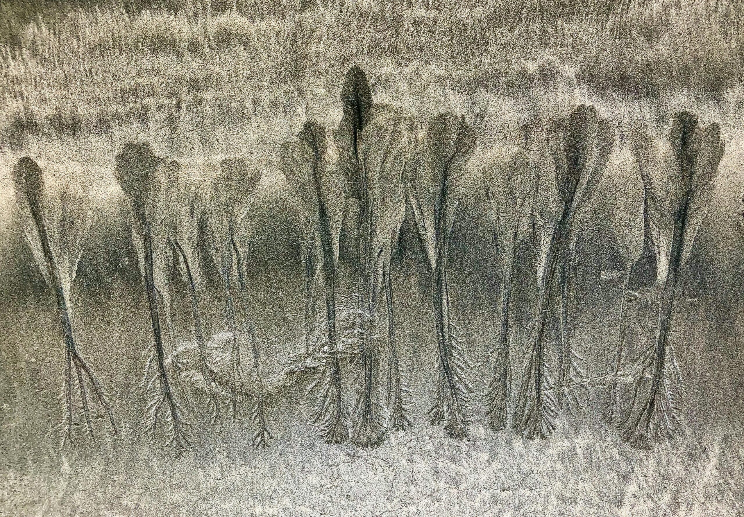 tamarindo surf lessons price