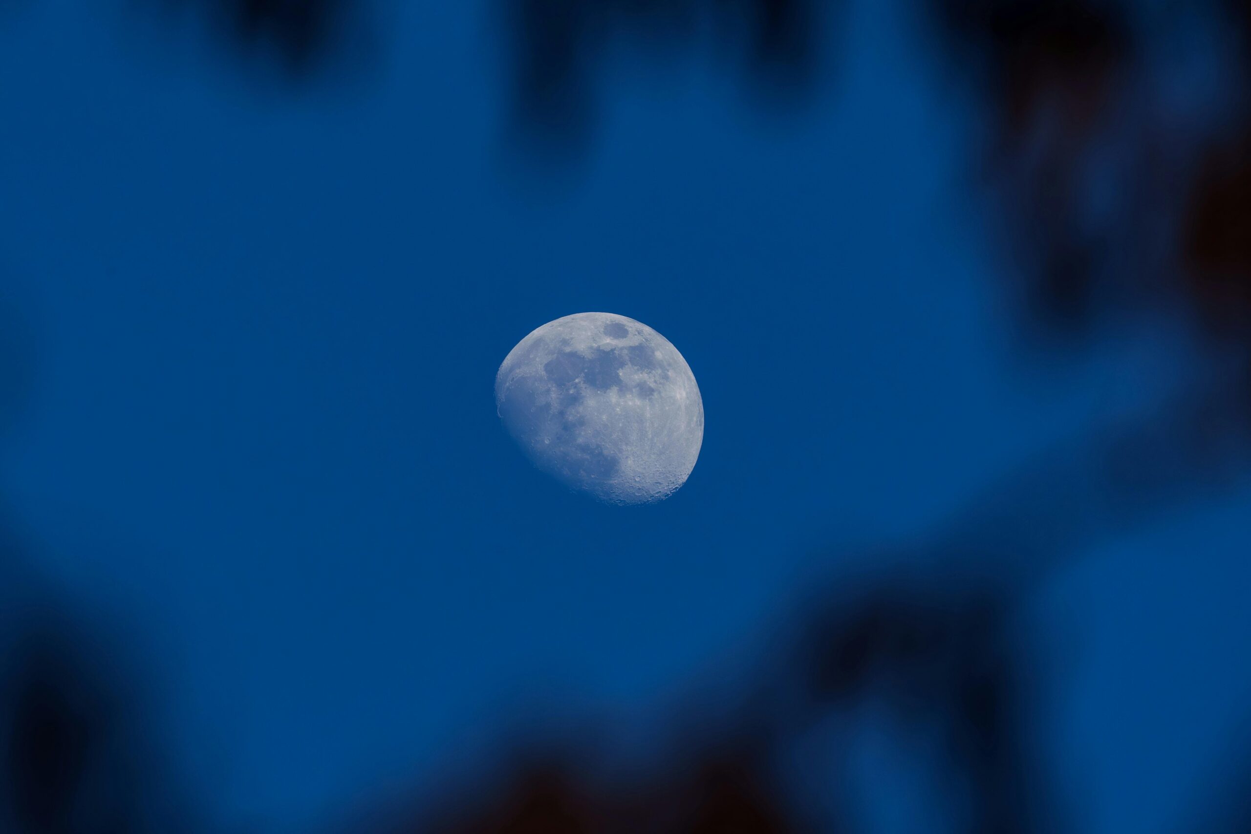 udawalawe safari cost