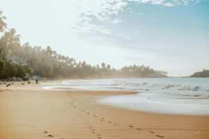 best beaches in mirissa