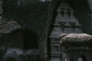 best villas in ubud jungle