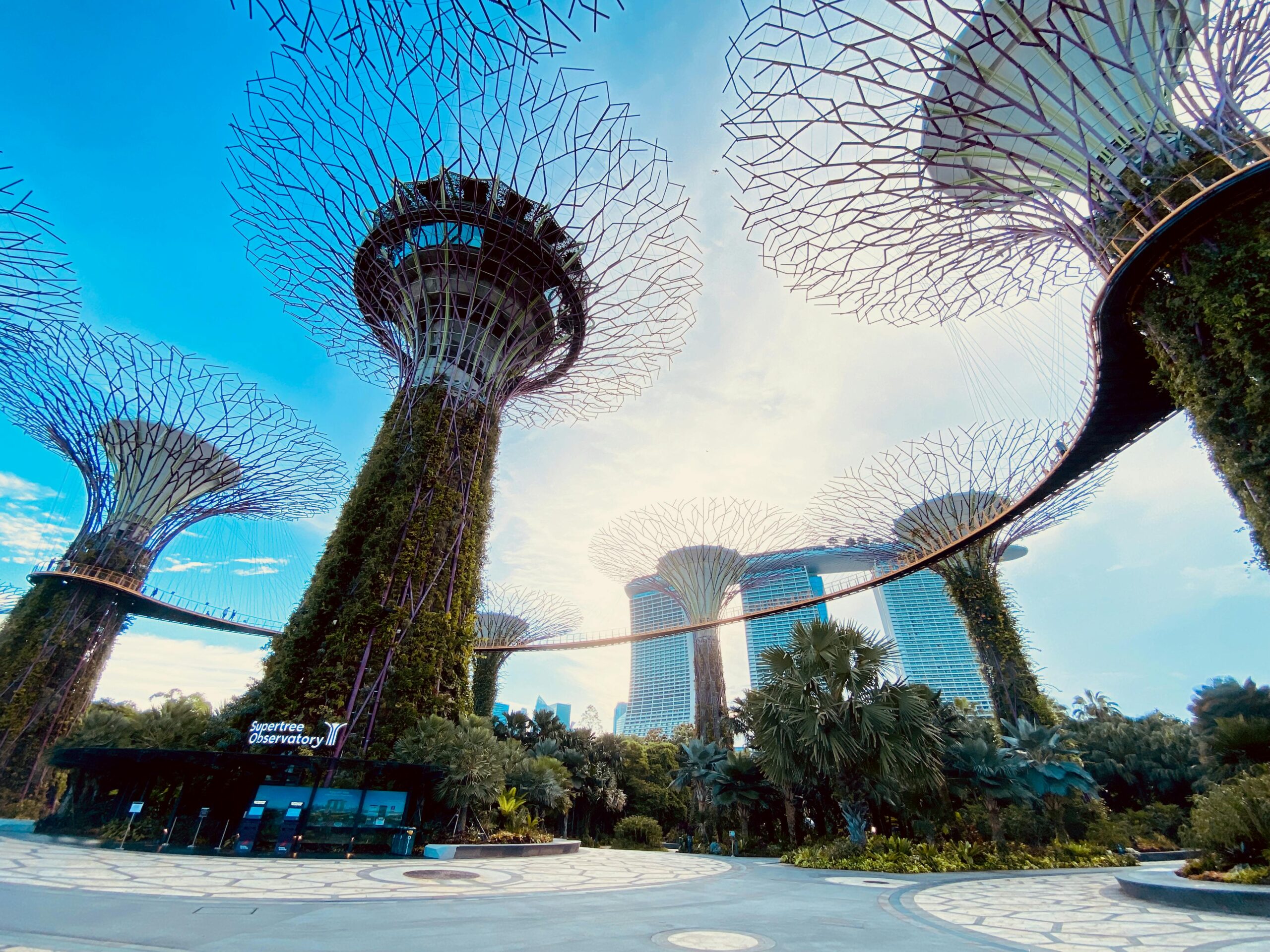 gardens by the bay tickets price