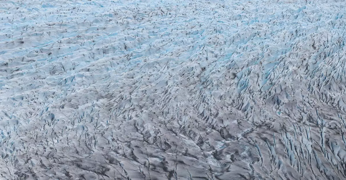 puerto natales kayak tour price