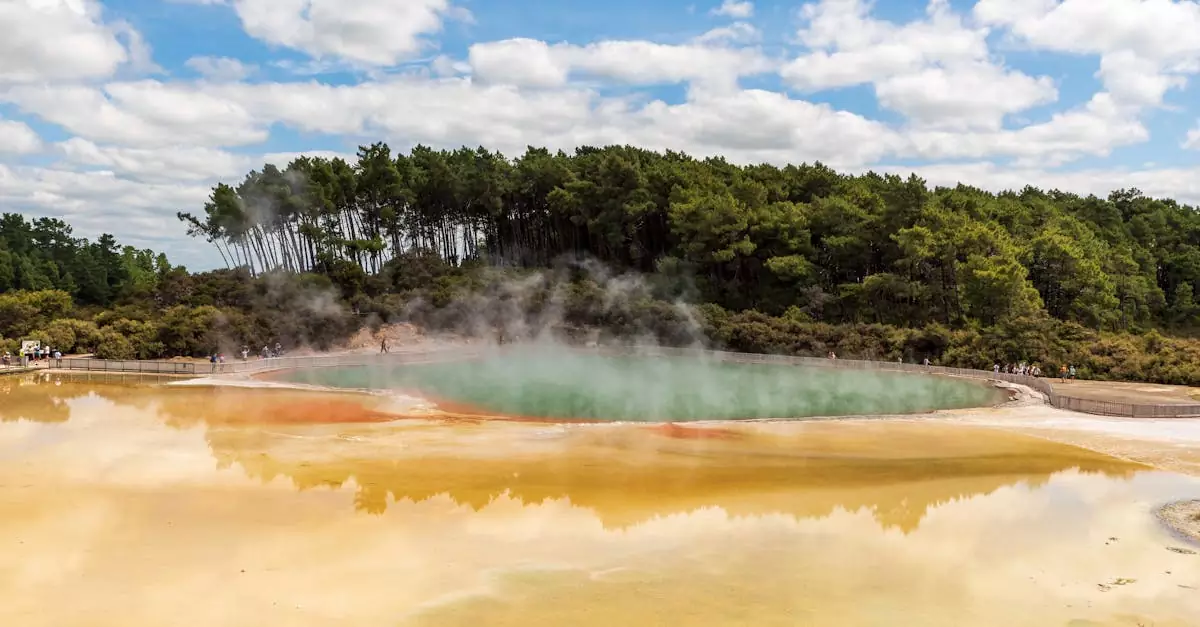 rotorua geothermal tour price