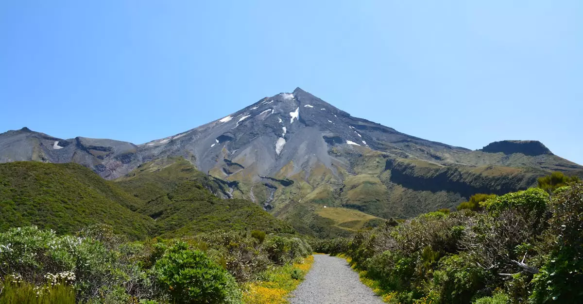 routeburn track guided hike price