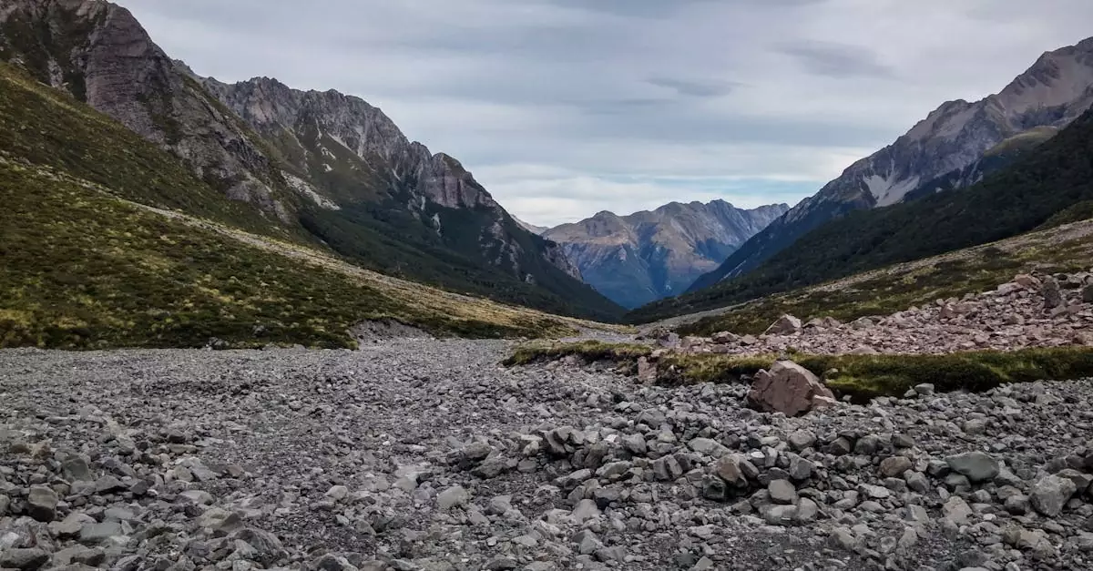 routeburn track guided hike price