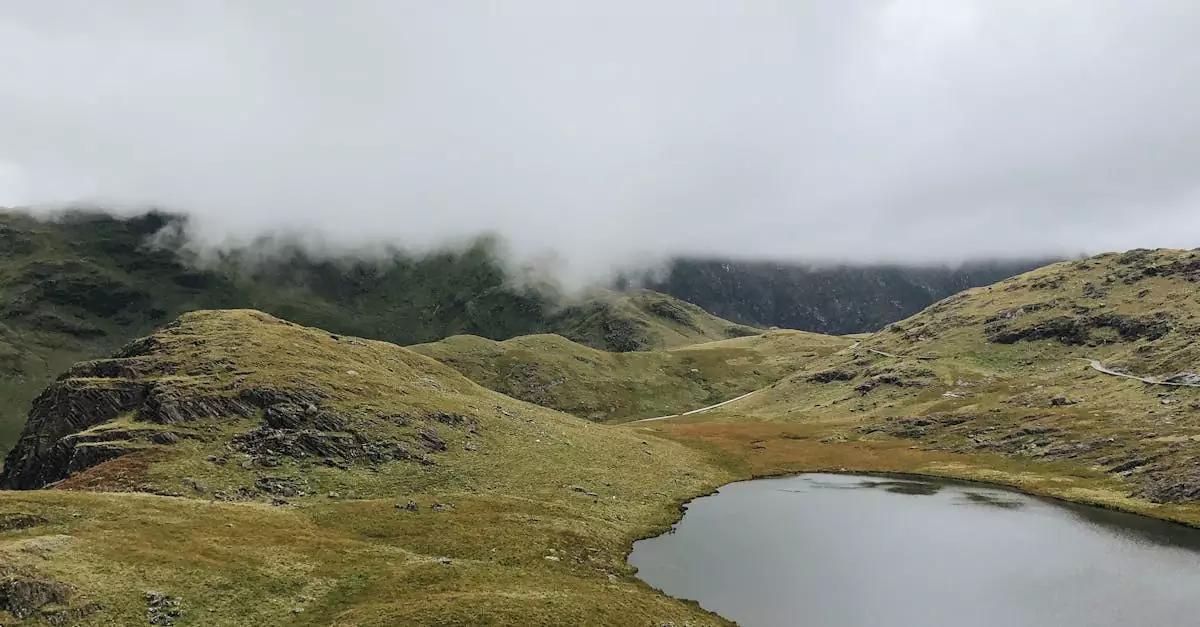 snowdonia tour price