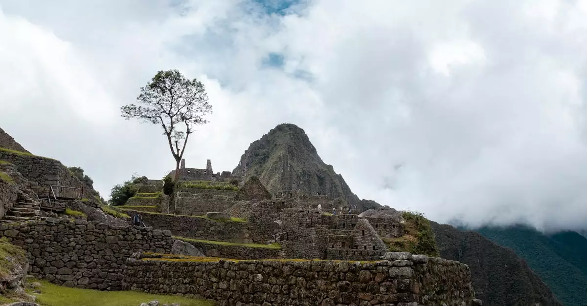 tambopata lodge price