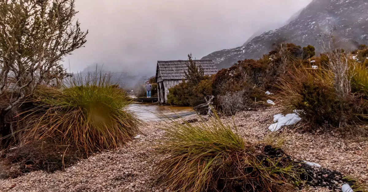 tasmania cradle mountain tour price