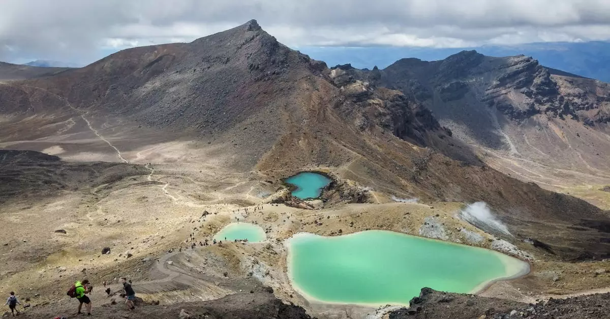 tongariro alpine crossing guided tour price