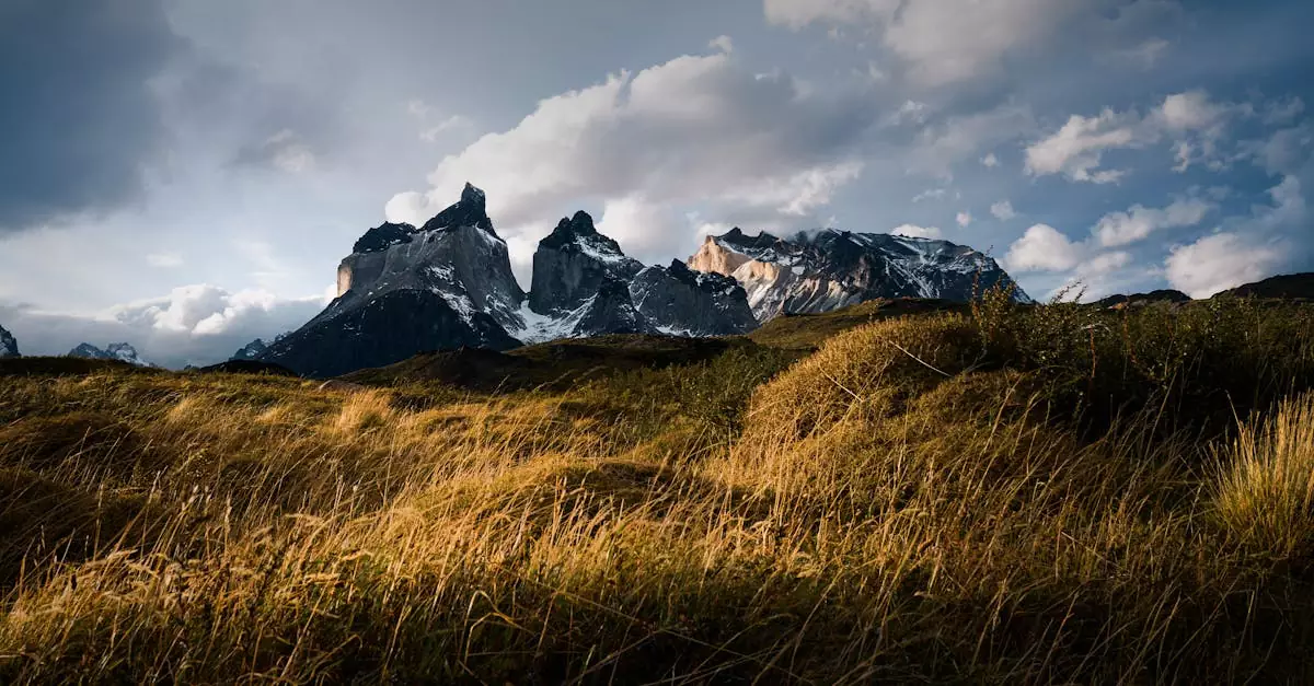 torres del paine o trek price