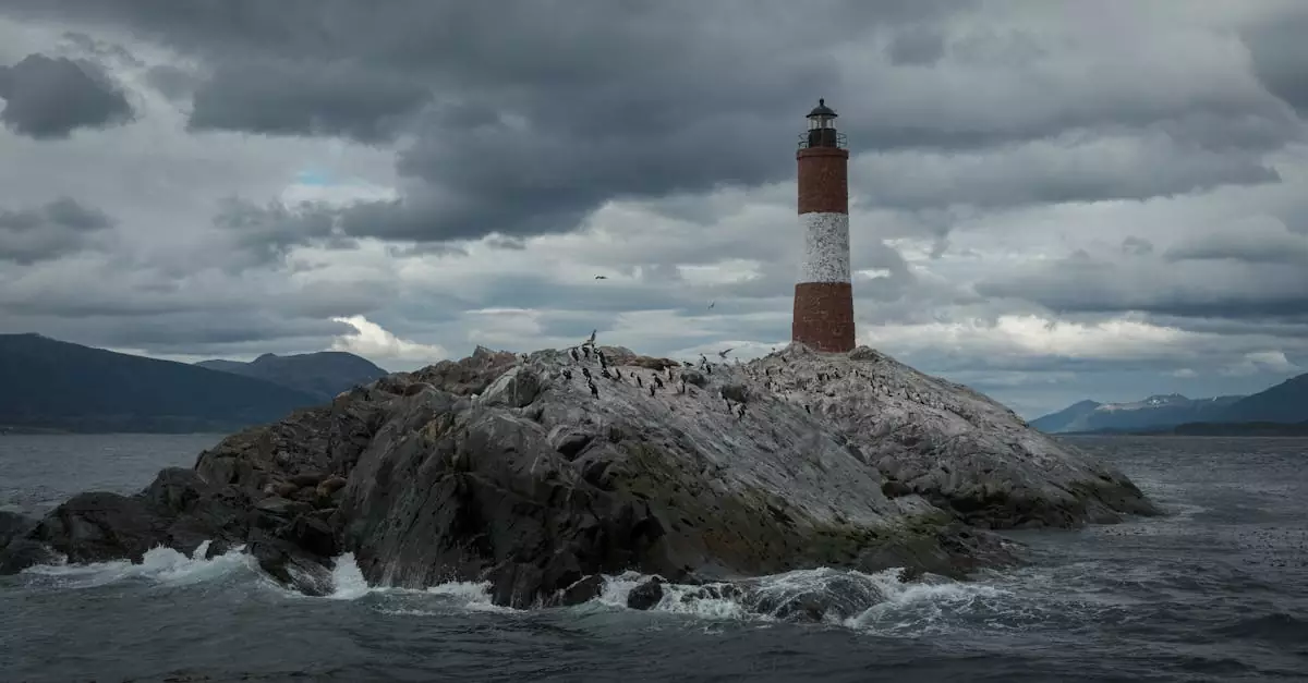 ushuaia beagle channel cruise price