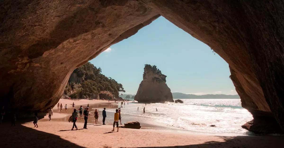 waikato glowworm cave tour price