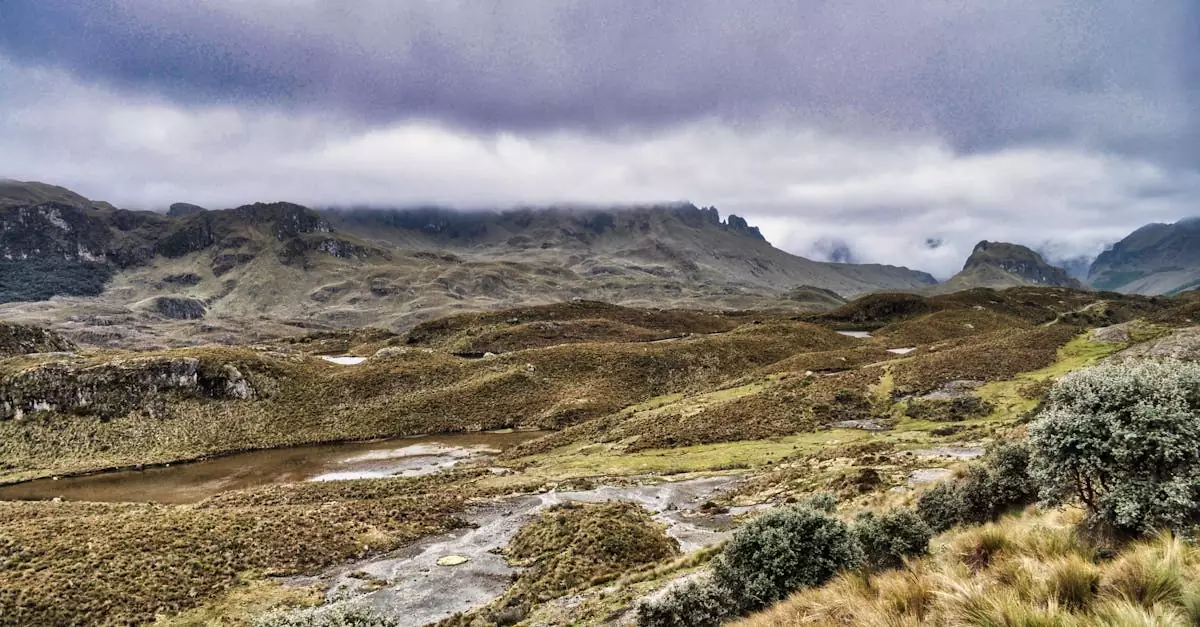 yasuni national park tour price