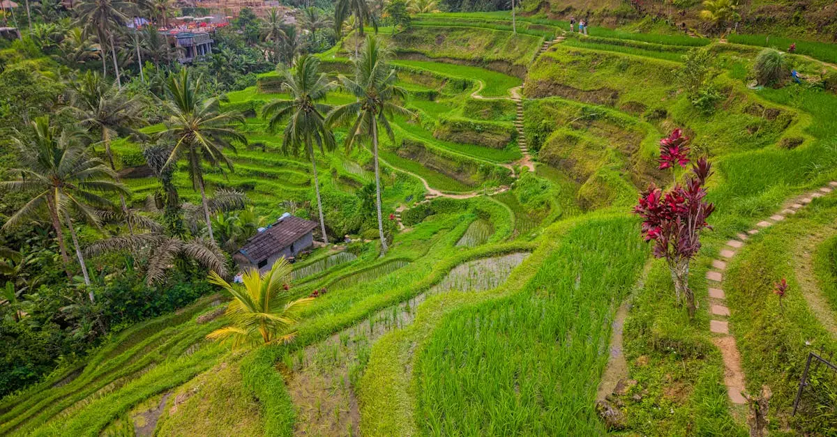 canggu coworking space price