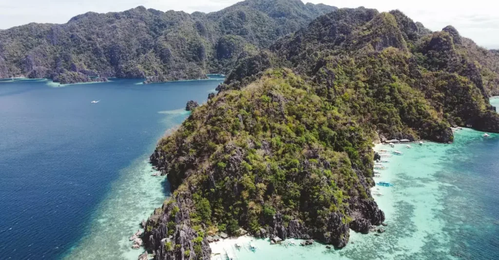 coron snorkeling tour price 22041234