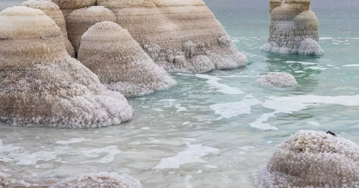 dead sea jordan tour price