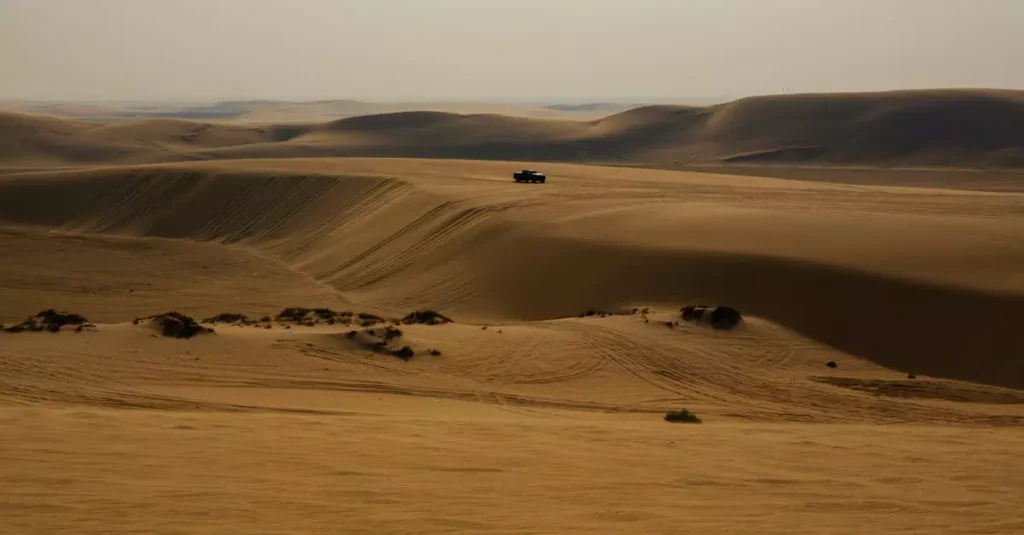 Doha Desert Safari Price: Ultimate Guide to Qatar Safari Costs 10 doha desert safari price 26922658