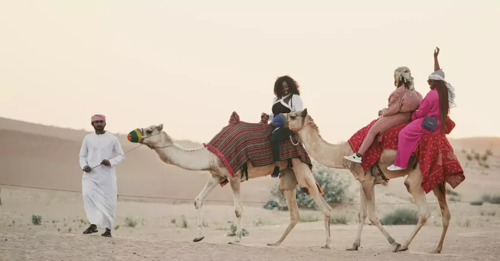 dubai camel ride price 23731670