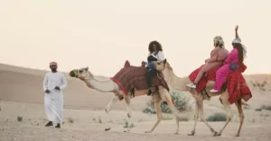 dubai camel ride price 23731670