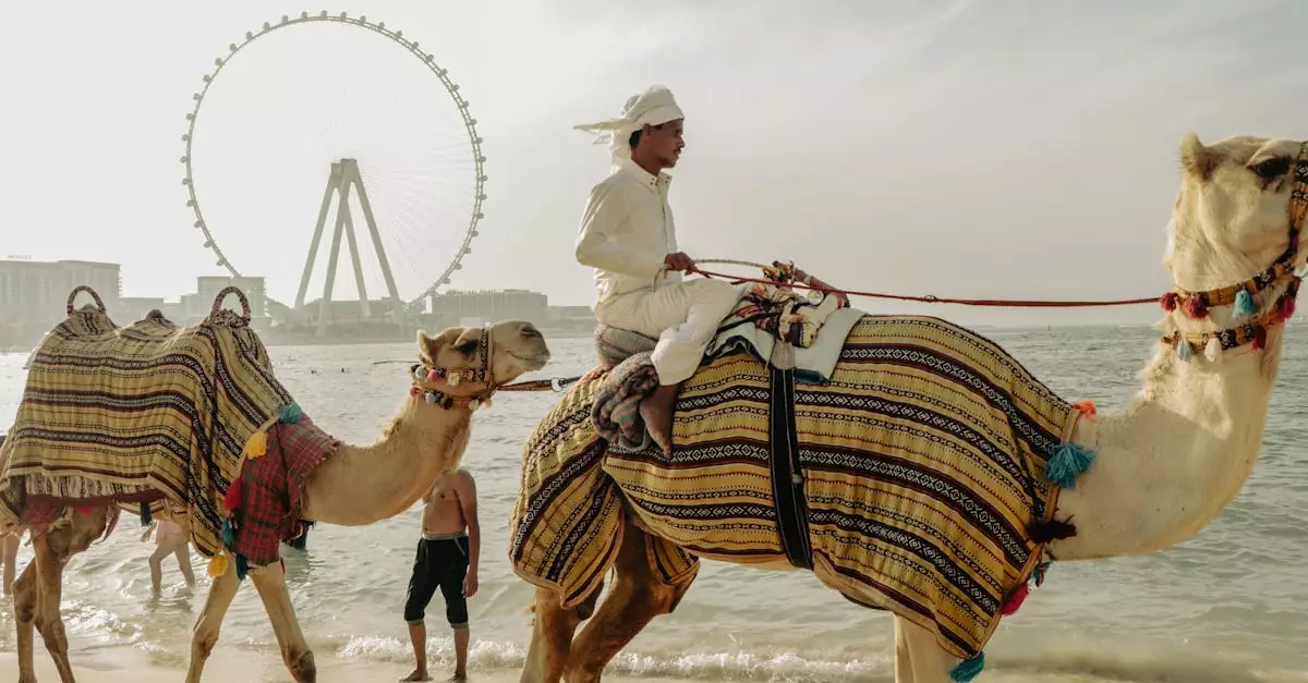 dubai camel ride price