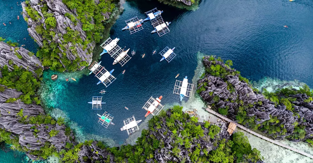 el nido island hopping tour c price
