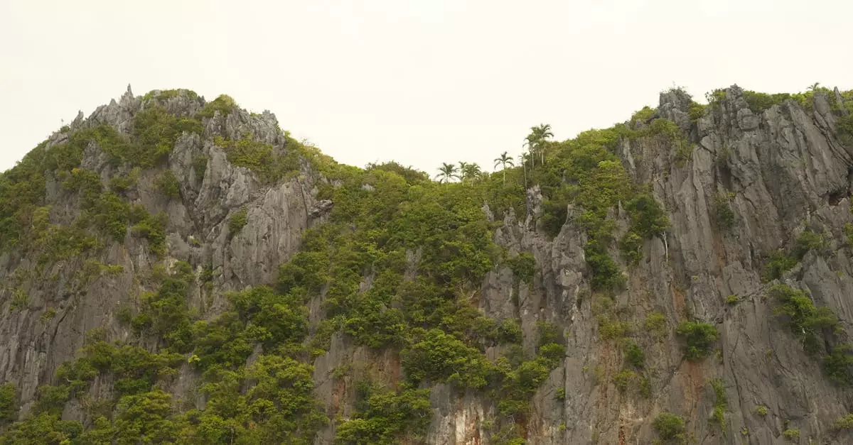 el nido sunset cruise price