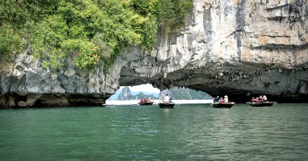 halong bay cave tour price 6871176