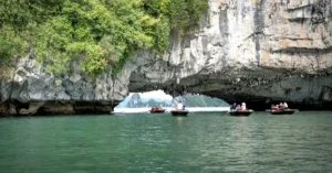 halong bay cave tour price 6871176