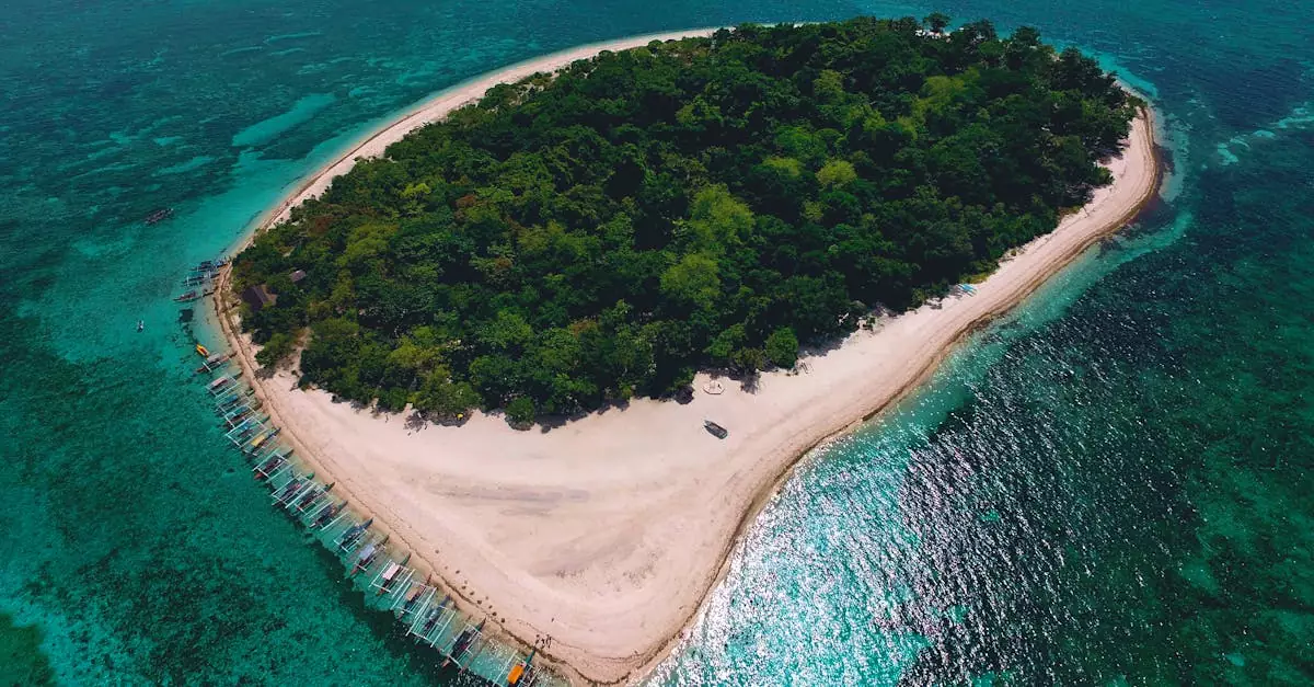 honda bay island hopping price