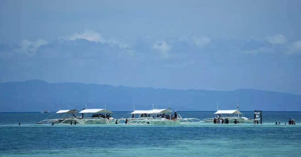 honda bay island hopping price 36906350