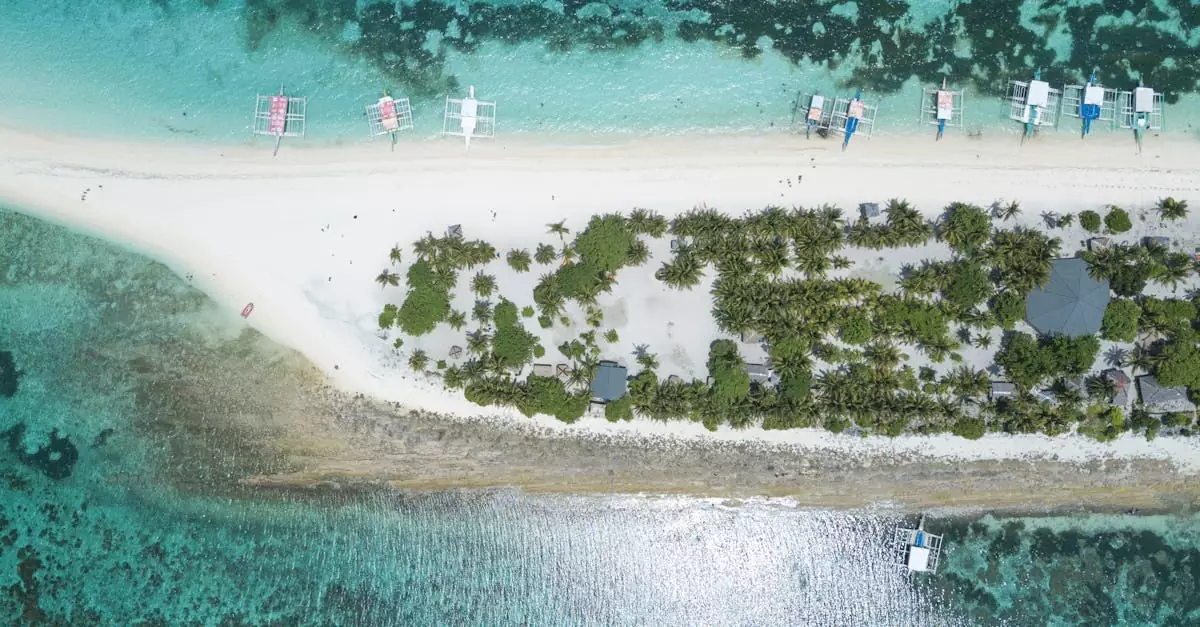 honda bay island hopping price