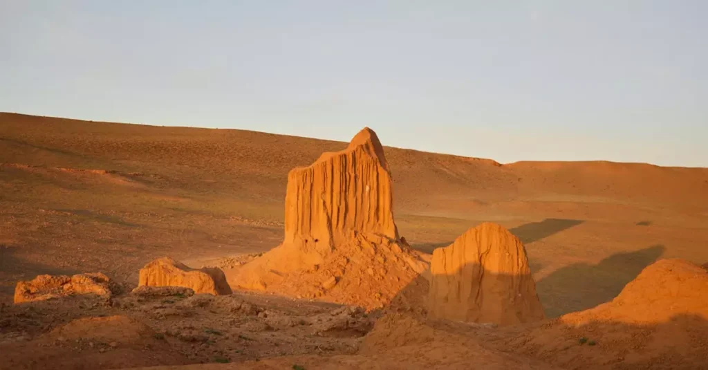 how much does mongolia trip cost 4321307