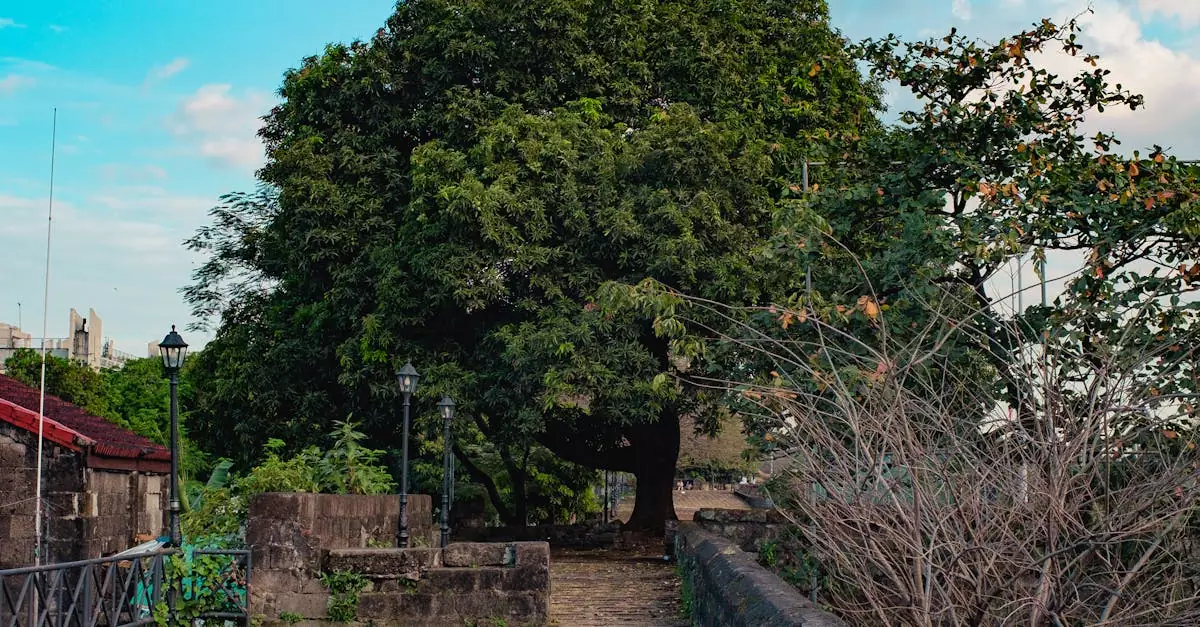 intramuros tour price