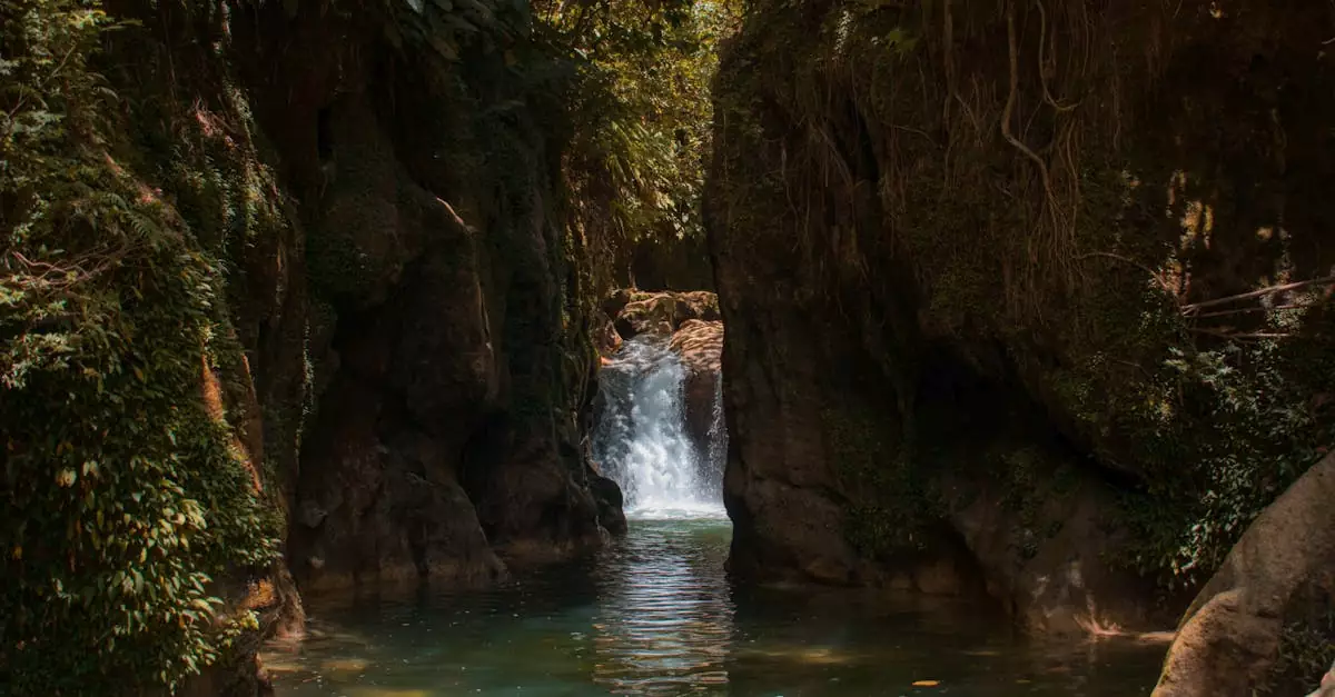 kawasan falls canyoneering price