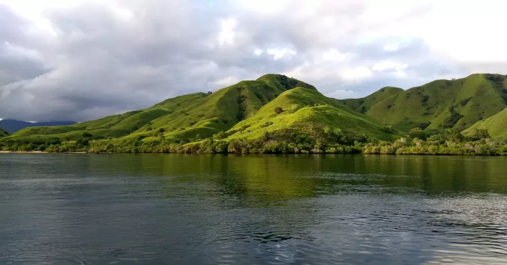 komodo island tour price 12843344