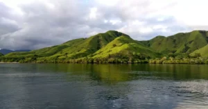 komodo island tour price 12843344