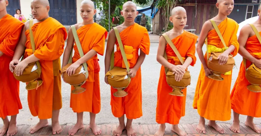 luang prabang alms giving tour price 8647526
